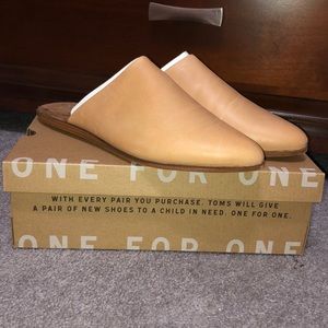 toms jutti mule honey